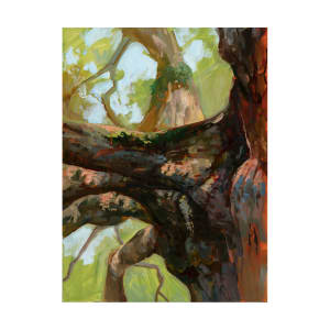 branches_1_square_oxlemb_2 by Kristin  Cronic