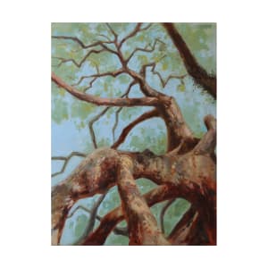 branches_2_square_qwjbrc_4 by Kristin  Cronic