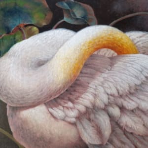 Swan II by Lilo Almog