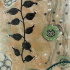 Of Delights by Cynthia Sumner