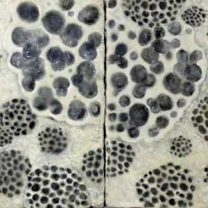 Segue by Cynthia Sumner