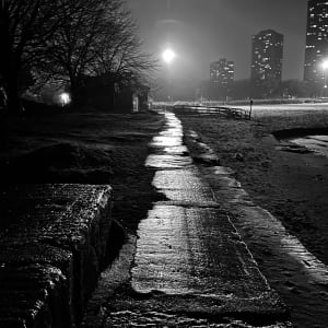 Foster Beach 3 by Lisa Zane