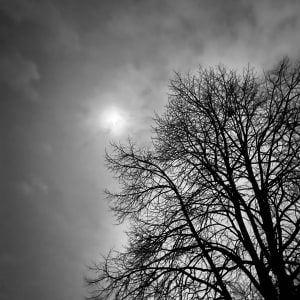 Foster Beach 2 by Lisa Zane