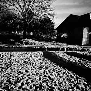 Foster Beach 7 by Lisa Zane, Image 1.