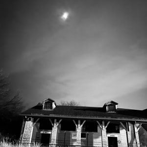 Foster Beach 4 by Lisa Zane