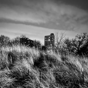 Foster Beach 5 by Lisa Zane, Image 1.