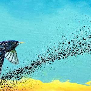 Starling in Flight by Corinna Nicole, Image 1.