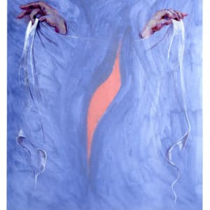 Veil by Lynn Donoghue