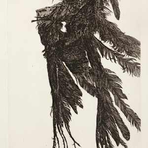 Crow II by Paul Fournier, Image 1.