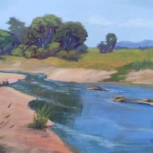 LTPA - Mary River Reflections by Attila Vidács