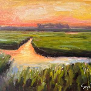 this dance by Sonya Diimmler