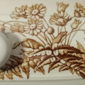 Field Flowers by Brown-Westhead, Moore & Co.  Image: Detail