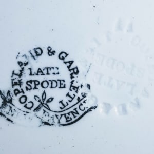 Unnamed (Insects & Flowers) by Copeland & Garrett 