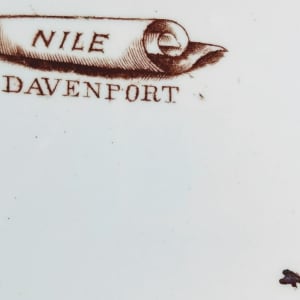 Nile by Davenport 