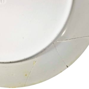 Unnamed (Renaissance Man) by Pratt & Simpson, Image 4.