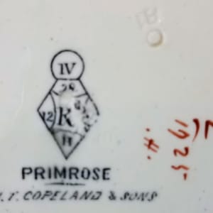 Primrose by W. T. Copeland & Sons 