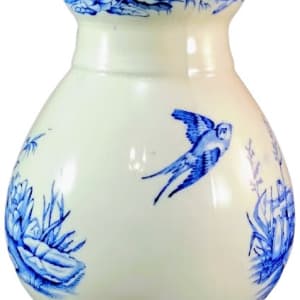 Swallow by T. & R. Boote 