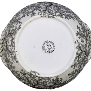 Coral by Copeland & Garrett 