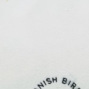 Danish Birds by E. F. Bodley & Son 