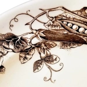Kent by George Jones & Sons 