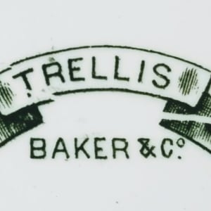 Trellis by Baker & Co. 