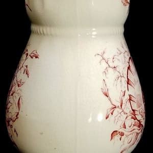 Seaweed by Whittaker & Co. 