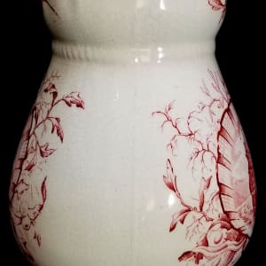 Seaweed by Whittaker & Co. 