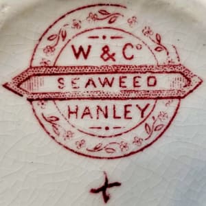 Seaweed by Whittaker & Co. 