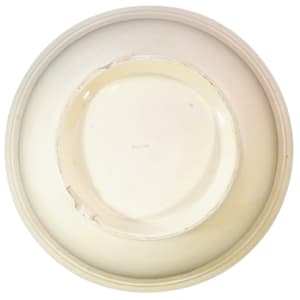 Unnamed (Fish School) by Thomas Furnival & Sons 