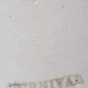 Unnamed (Fish School) by Thomas Furnival & Sons 