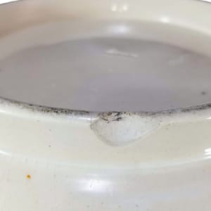 Unnamed (Fish School) by Thomas Furnival & Sons 