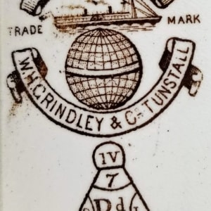 Daffodil by W. H. Grindley & Co. 