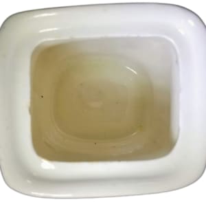 Florentine by Old Hall Earthenware Co. Ltd. 