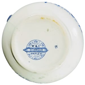 Seaweed by Whittaker & Co. 