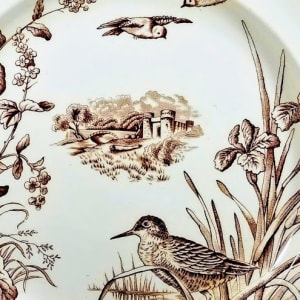 Florentine by J. Dimmock & Co. (W. D. Cliff)