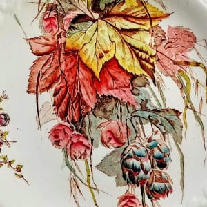 Unnamed (Bunched Foliage) by Thomas Furnival & Sons 