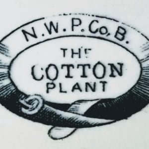 The Cotton Plant by New Wharf Pottery Co. 