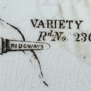 Variety by Ridgways 