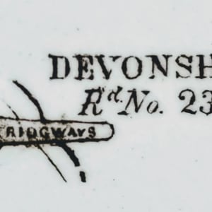 Devonshire by Ridgways 