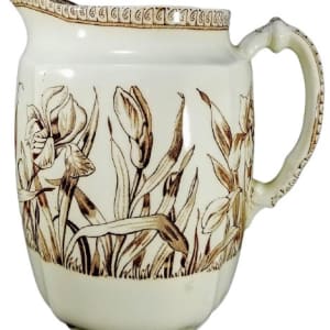 Iris by T. & R. Boote 