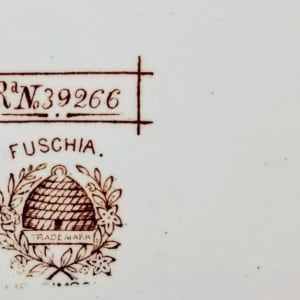 Fuschia by Wallis Gimson & Co. 