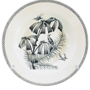 Fan Palm by Thomas Till & Sons