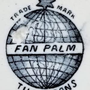 Fan Palm by Thomas Till & Sons 