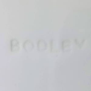 Unnamed (English Birds - Duck) by E. J. D. Bodley, E. F. Bodley & Co., E. F. Bodley & Son 