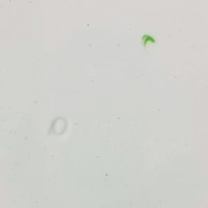 Unnamed (Bamboo) by Spode