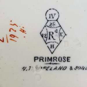Primrose by W. T. Copeland & Sons 