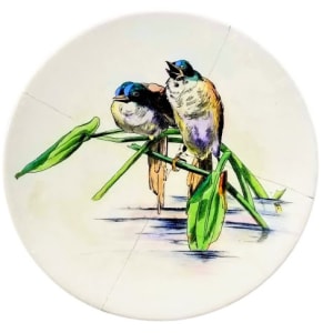 Danish Birds by E. F. Bodley & Co.