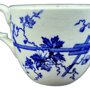 Satsuma by Ridgway, Sparks & Ridgway 