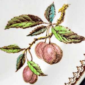 Fruit by Burgess & Leigh 