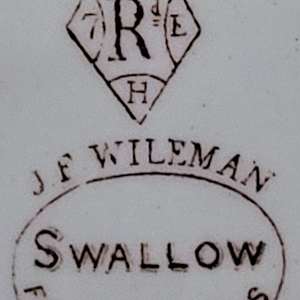 Swallow by J. F. Wileman 
